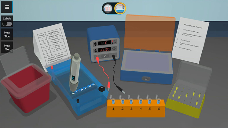 Enhancing Education with zSpace: Bridging Theory and Practice