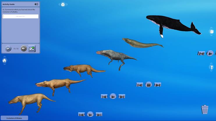 고래의 진화