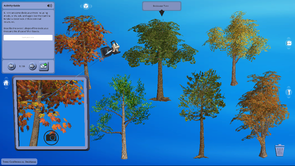 Home Educators Lessons Trees Coniferous vs. Deciduous