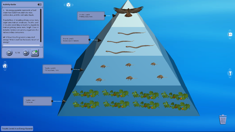 Trophic Levels In An Energy Pyramid